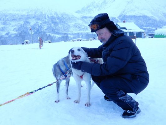 Alaska Husky